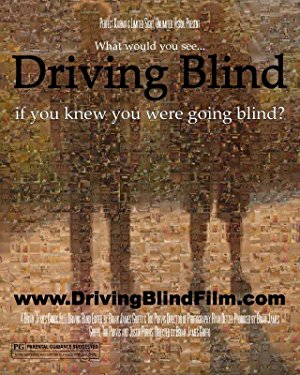 Driving Blind