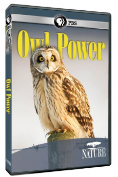 Nature Owl Power (2015)