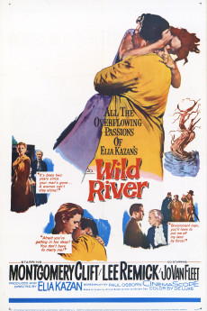 Wild River (1960)