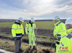 （新春走基层）中国驻外基建工作者的马年春节：是坚守，更是对“家”的责任