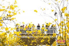 广西“春日经济”趋热 年轻人悦己养生乐“约拍”